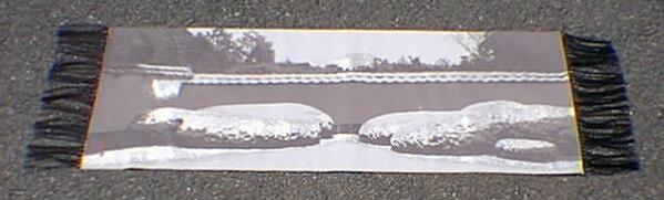 ��i�F�̐D����