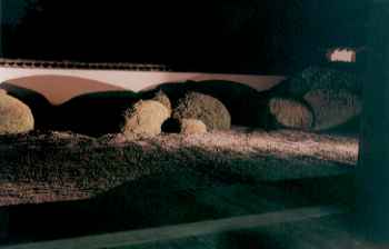 ���`���Q