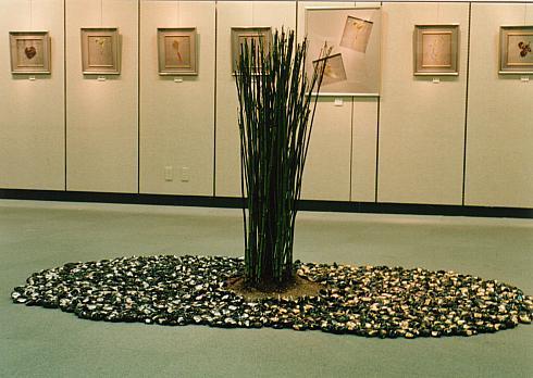 �ۑP�ł̋���ؐD��W�Q