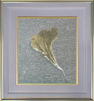 �_�s��(�D����)