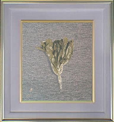 �t�e(�D����)