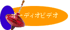 I[fBIrfI