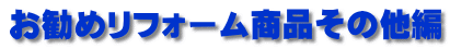 �����߃��t�H�[�����i���̑���