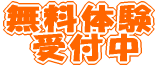 ̌  t