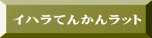 �C�n���Ă񂩂񃉃b�g