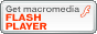 Macromedia Flash Player �_�E�����[�h