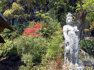 雨錫寺 公式ホームページ
