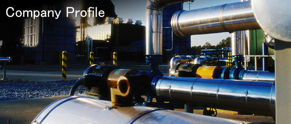 Company Profile
