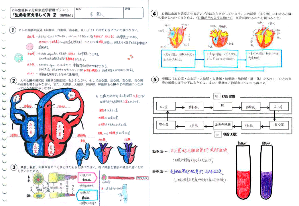 生徒が自分で、学んだ事をまとめたノートの写真です。