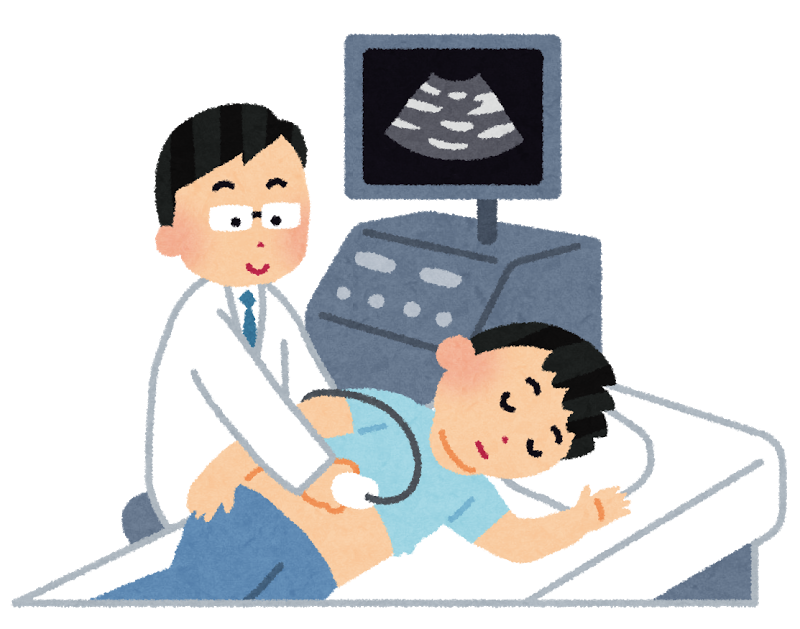 腹部エコーイラスト