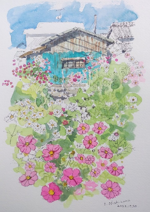 西薗和泉