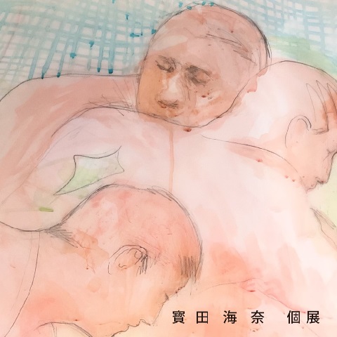 寶田海奈