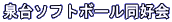 ���\�t�g�{�[�����D�� 
