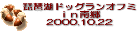 ���i�΃I�t�~�ł��I�������K�͂ɂȂ�܂����B