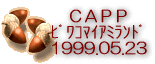 CAPP�F��ܺϲ�����ށI