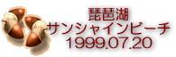 �T���V���C���r�[�`