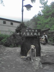 西の河原公園はのんびり散歩できる。