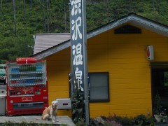 らぶもタオルを頭に温泉気分!