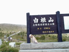 やはり、向かいの観光センターに立ち寄りソフトクリームを少しいただこう。