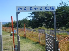 ���ꂪ��񂿂��L��
