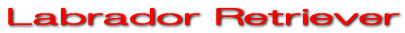 ���u���h�[���E���g���[�o�[�̃C�G���[�ł��B