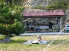 後方は、炊事場、便所。キャンプの帰りには、三段壁、千畳敷や南方熊楠記念館にも寄ってきました。