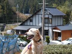 私はいつも待ってるだけだわん・・・でも散歩できる