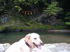 鵜の瀬前のラブ・・・この後川の中に入ろうとした(-.-;)y-゜゜