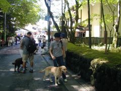 軽井沢って、暑い(^_^)、日陰で休憩