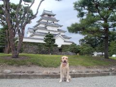 私も天守閣にのぼれないかな・・・