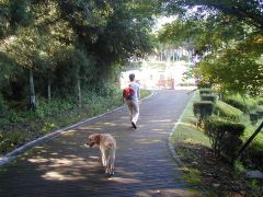 一帯が公園なんだあ