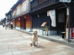 すまして