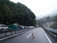 早朝の湯峰温泉駐車場、後ろに温泉あり