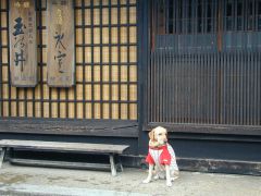 飛騨高山の古い町並(酒屋)前で