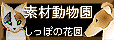 ۂ̉ԉILȂǂ̃IWit[fޏW