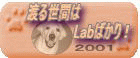 n鐢ԂLab΂I