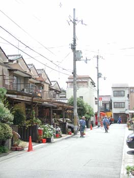 P8220728