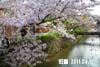 gion01a