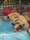 Julie011004