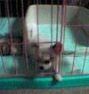 Julie011007