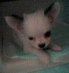 Julie011012_2