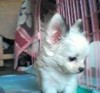Julie011014