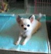 Julie011019