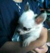 Julie011110