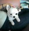 Julie011116