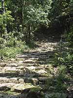 自然石で作られた階段の参道