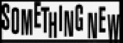somethingnew