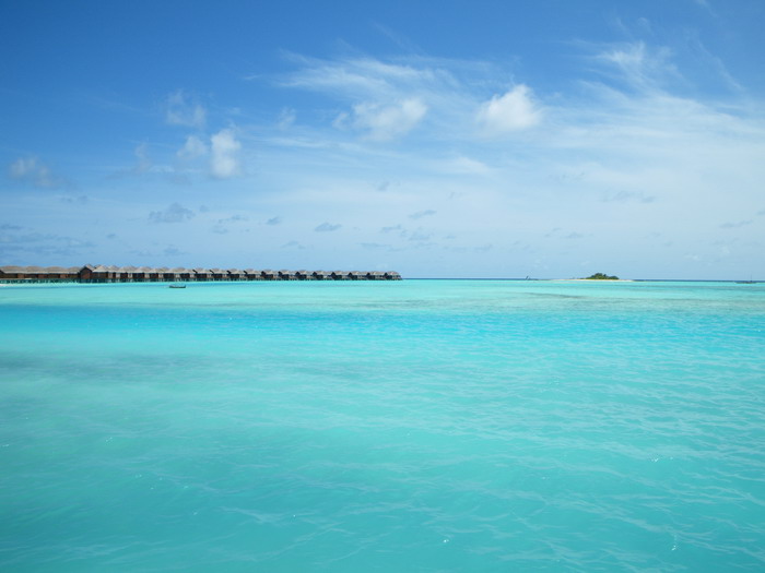 Maldives-AnantaraDhiguResort&Spa̐Re&l