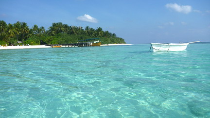 Maldives Embudu Diver Land 　　　　　　　　　　　　　　　　モルディブ　エンブドゥ