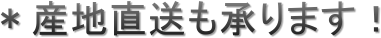 Yn܂I